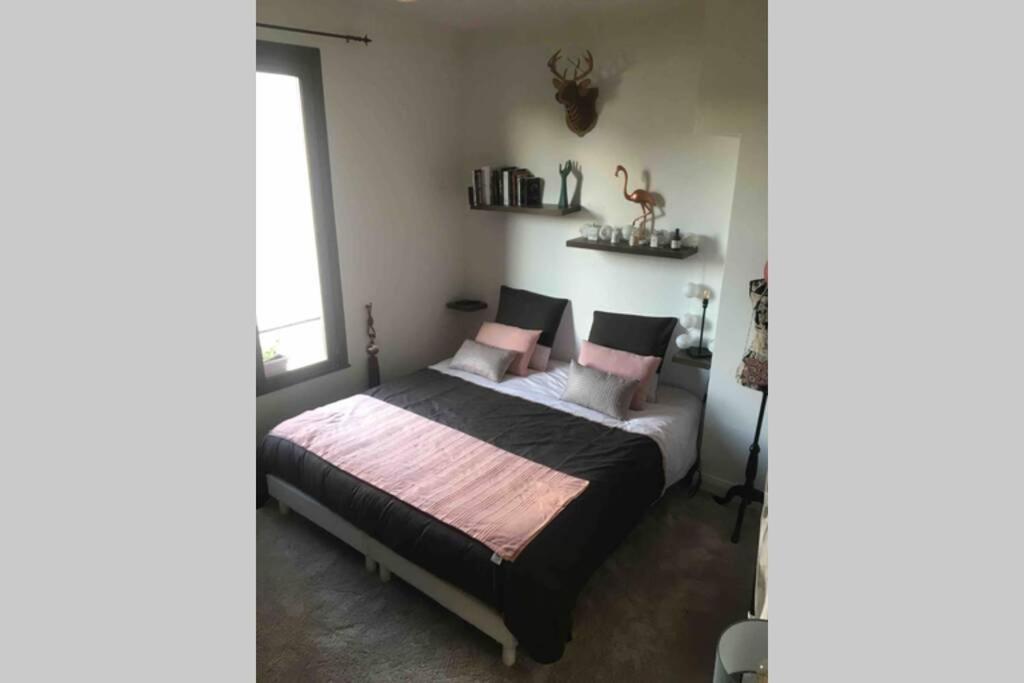 Appartement Le XV à Nancy Extérieur photo